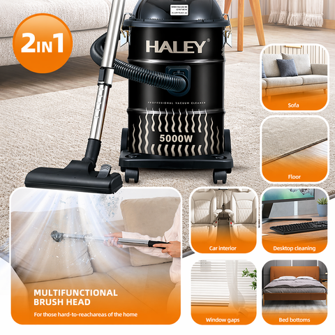 Aspirator Profesional HALEY HY-9925 CD, 5000W, 28L, Funcție Suflare