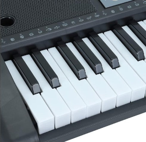 Orga Profesionala Electronica MQ-6136