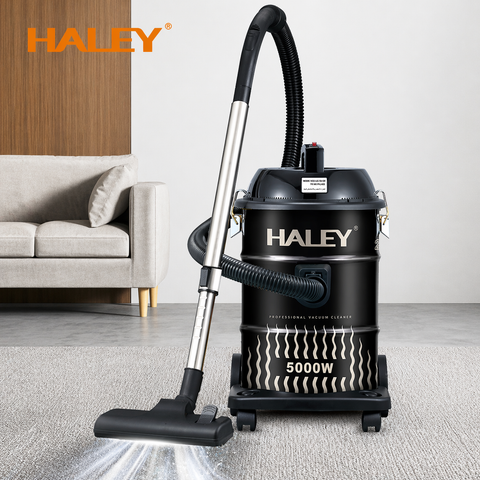 Aspirator Profesional HALEY HY-9925 CD, 5000W, 28L, Funcție Suflare