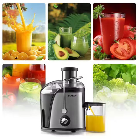 Storcător Electric Fructe și Legume HALEY 1000W – Panou Touch, Zgomot Redus, Eficiență Ridicată, Funcții Avansate, Design Modern