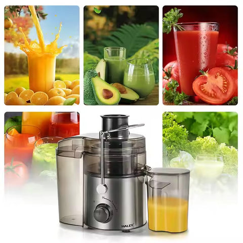Storcător Electric Fructe și Legume HALEY 1200W – Touchpad Modern, Eficiență Ridicată, Zgomot Redus, Funcții Avansate, Design Elegant