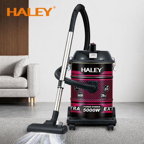 Aspirator Profesional HALEY HY-9924 AB, 5000W, 28L, Funcție Suflare