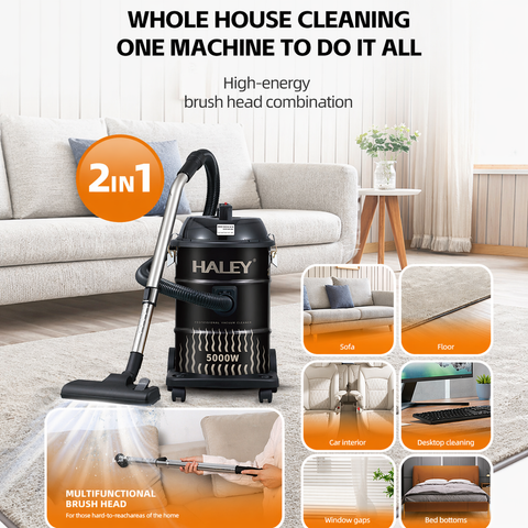 Aspirator Profesional HALEY HY-9925 CD, 5000W, 28L, Funcție Suflare