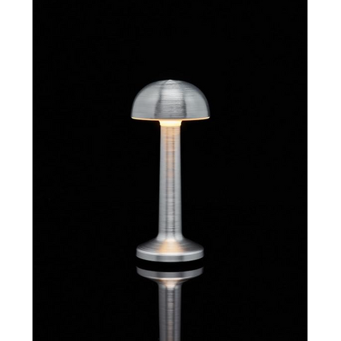 Lampa de birou, At Performance, portabila ciupercuta, 22 cm, Agintie